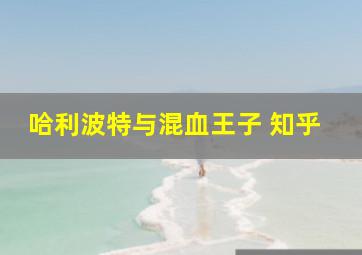 哈利波特与混血王子 知乎